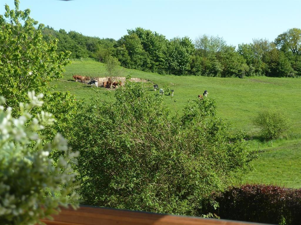 Ferienhof Jepsen Westerholz Habitación foto